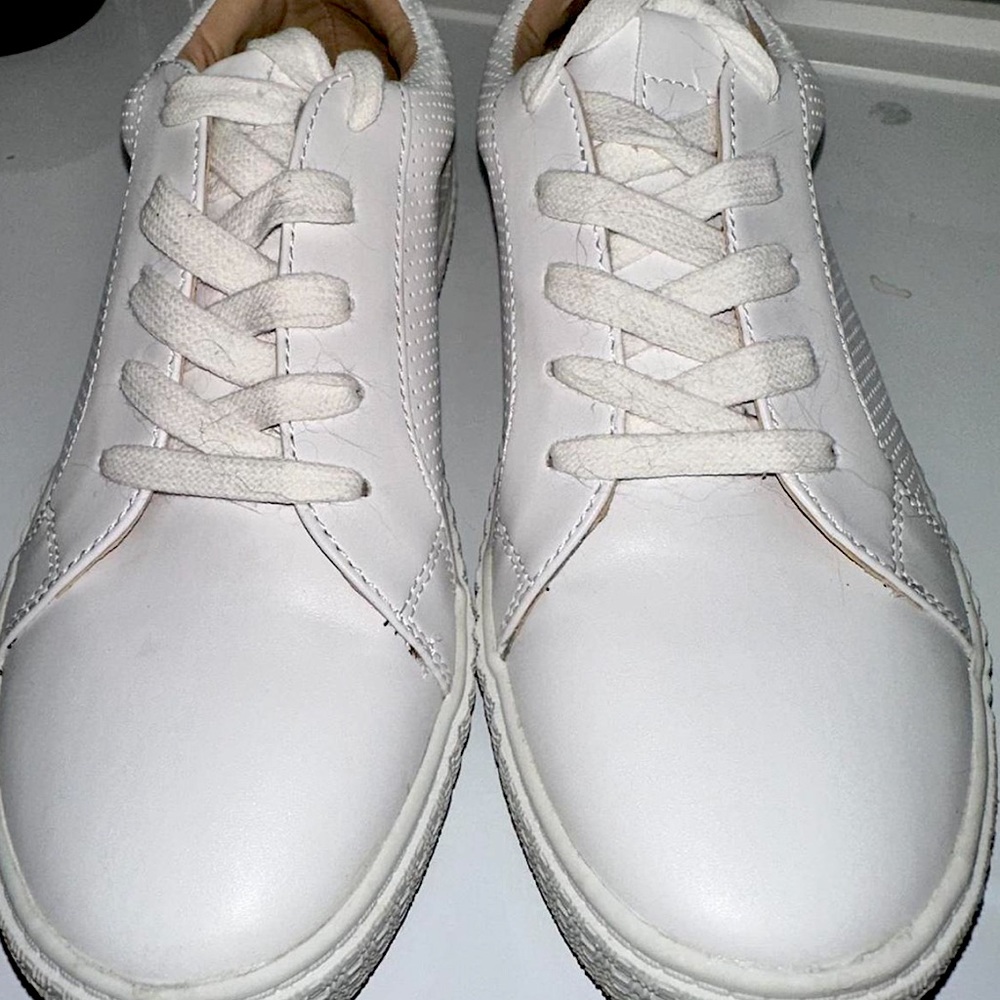 Steve Madden Sneakers